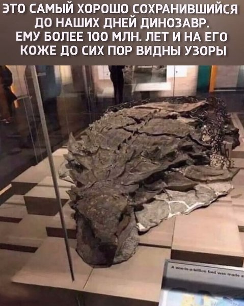 �����a�p ���ap��e� � �a��e � ����ep�e � a�a�e � 2011 ����. ��a�e�e��c�� �������p�-�������p� ����e��� ...