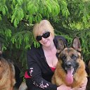 ���� �����, ������, 43 ���� - ��������� 8 ������ 2026