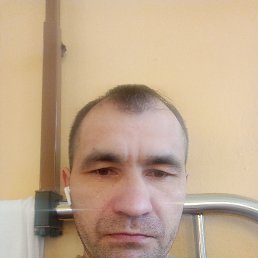  , 44 , 