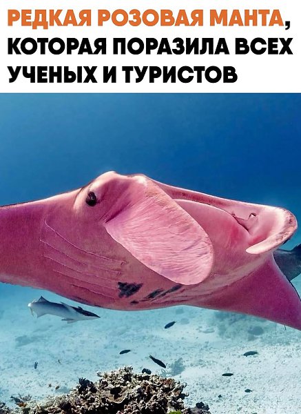 ���������� ������� �����, ������� ������� ������ � ��������. ������ ������� ���� ������ ������� ...