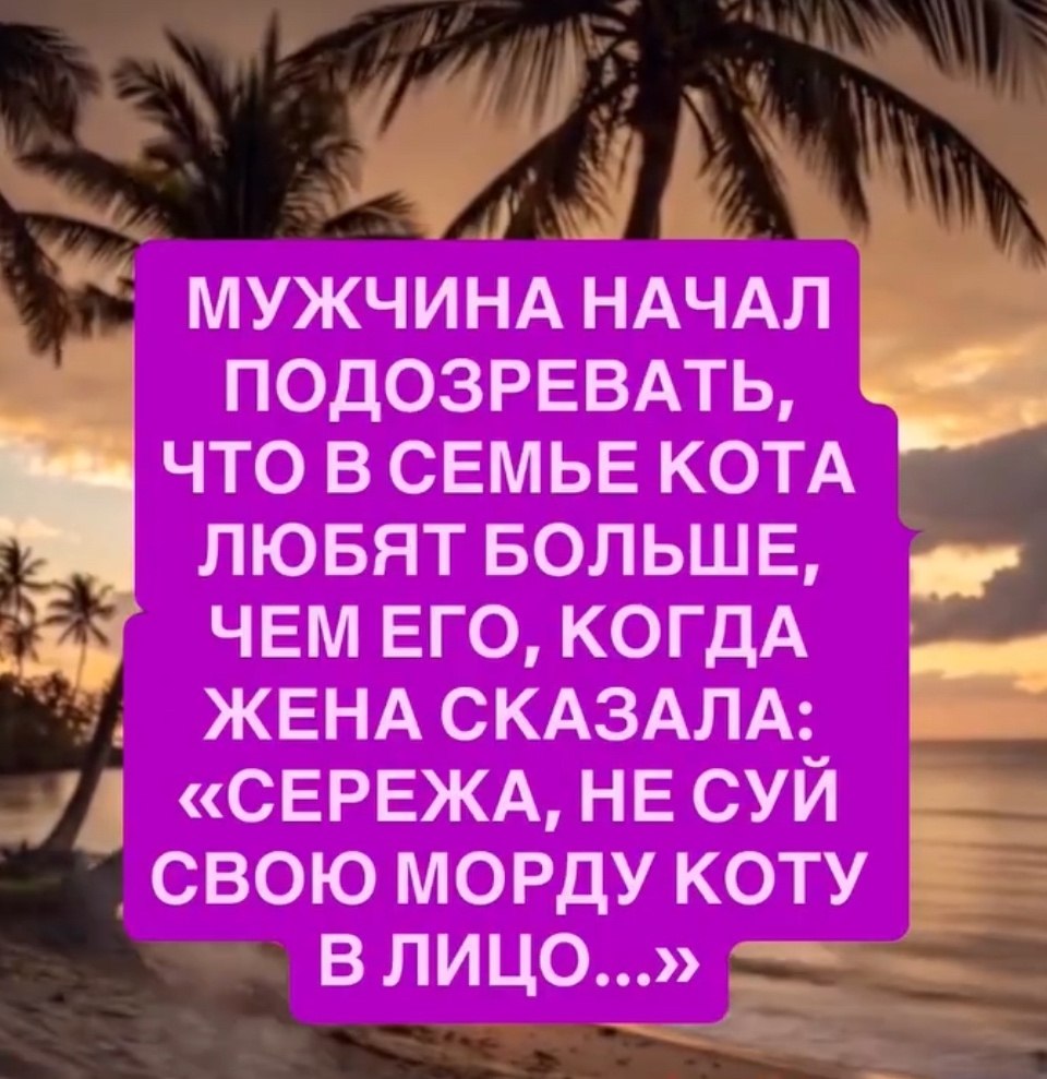  - 22  2025  03:07