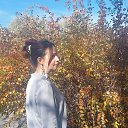  , --, 51  -  1  2023    