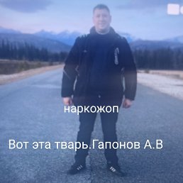 ���� ������, ����, 40 ��� - ��������� 11 ������ 2026