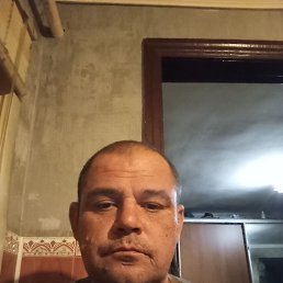 , 41, 