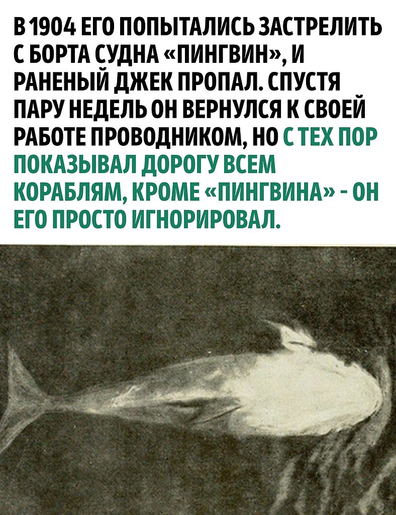  , !() - 24  2024  09:17 - 2