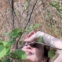 ����, �������, 50 ���