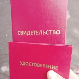 �������, �����������, 41 ���