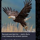 ���� �����, �����-���������, 50 ��� - ��������� 29 ������ 2025 � ������ ���� ����������