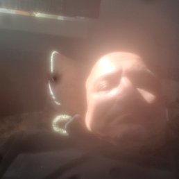 ���� �����, ������, 43 ���� - ��������� 27 ������ 2026