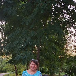 Svetik, ��������, 60 ���