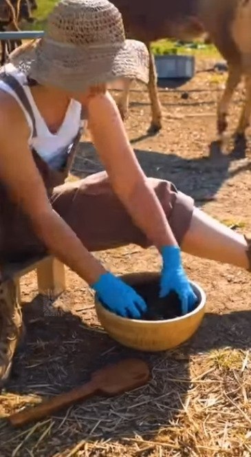       - 2