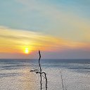 ���� ��, ������, 65 ��� - ��������� 30 ���� 2025 � ������ ������ ��������