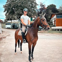 ������, ����, 37 ���