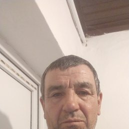 , 46 , 