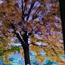 ���� Inga-sergeewna, ������ - ��������� 21 ������� 2025 � ������ ���� ����������