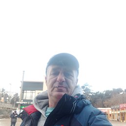 , 53 , 