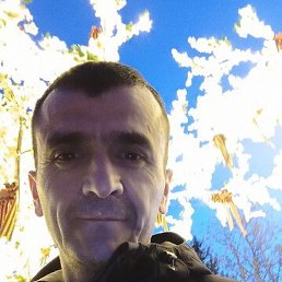 ��������, �������, 45 ���