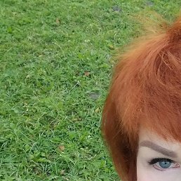 �����, �����-���������, 58 ���