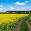 ���� ���, ������ - ��������� 5 ���� 2025 � ������ ������ ��������