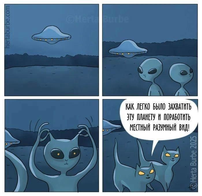   ,     . ...