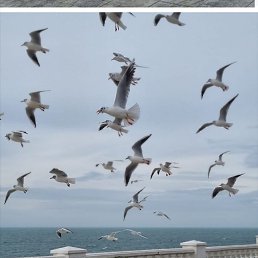 ���� �������, �����-���������, 78 ��� - ��������� 28 ������� 2023