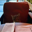 ���� ������, ������, 40 ��� - ��������� 12 ���� 2025