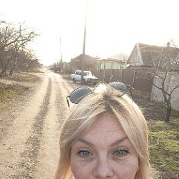 ����, 41 ���, ���������