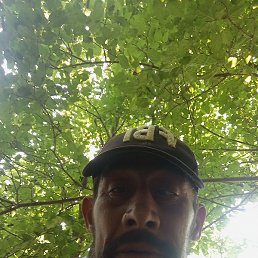 ������, �������, 40 ���