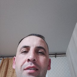 , 33, 