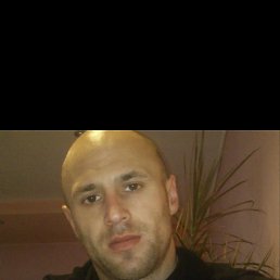 , 29, 