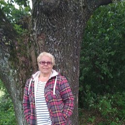 , 65, 