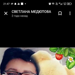 , 63, 