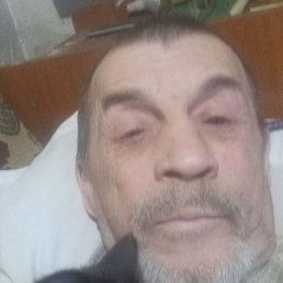 �������, ������, 65 ���