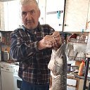 ���� ��������, ����������, 53 ���� - ��������� 31 ����� 2026