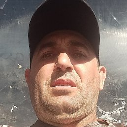 �����, ���������, 44 ����