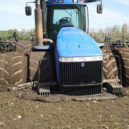 ���������, ������, 41 ���