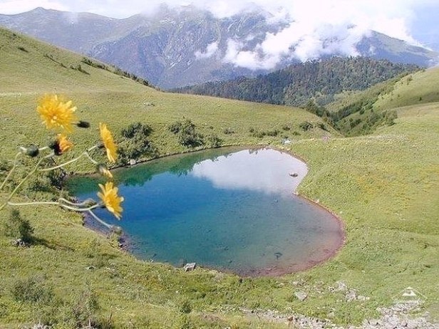 ��epo �����, �p���