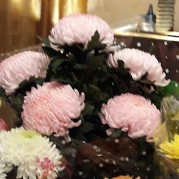 �������, �����, 27 ���