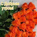  , --, 64  -  18  2024    