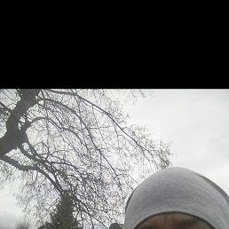 ����, ����, 48 ���