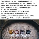  Victor,  -  25  2025   