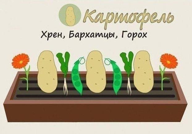 ��������������������� - 3