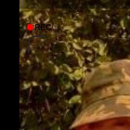 ����, ������, 46 ���