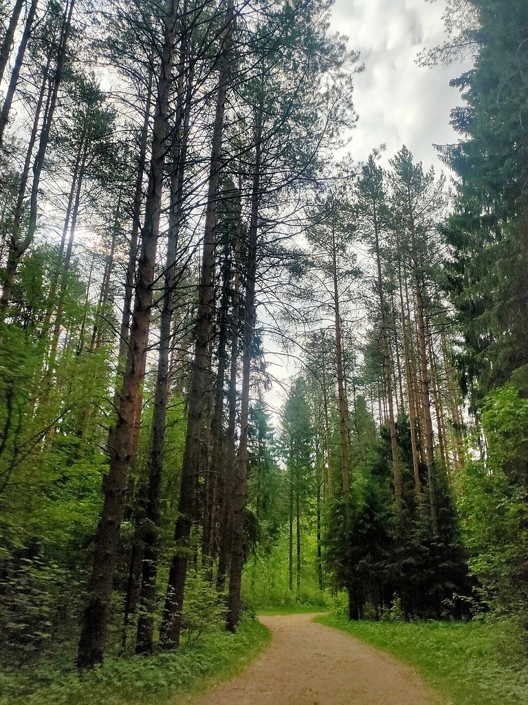         -   .:   - 2