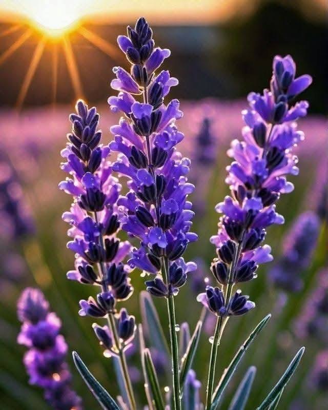 �������� � ��������� ������, ��� ����� ������������ ������, ���� �� ��� ������� ��� ������ ����, � ...