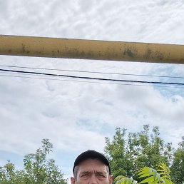 ���� �����, �������, 44 ���� - ��������� 7 ������� 2025