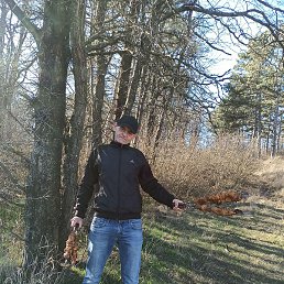 ����, ����, 46 ���