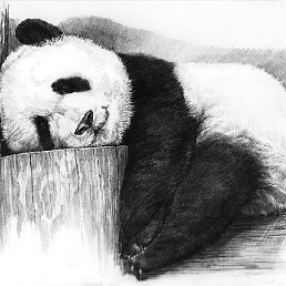 ����, ������, 54 ����