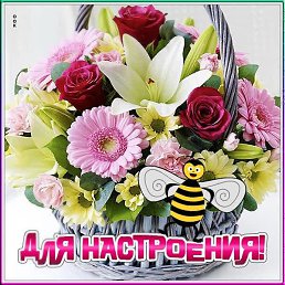 L I D I A, ������, 58 ���