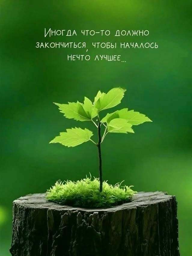 �������� ������ - 27 ��� 2026 � 12:33
